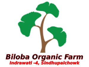 Biloba Organic Farm, Nawalpur