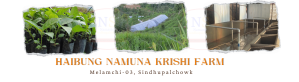 Haibung Namuna Krishi Farm