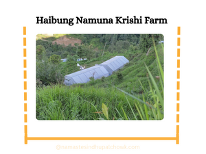 Haibung Namuna Krishi Farm