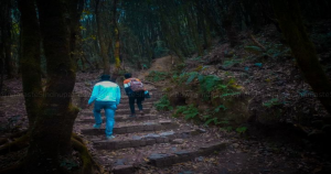 Bagdwar, Shivapuri Peak - Best Hiking Place in Kathmandu