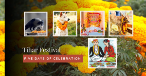 How Tihar Festival is celebrated in Nepal?